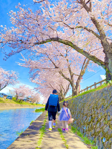 Momentum(モメンタム) / ソウタくん